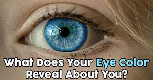 This makes it difficult to see where a blue shade become gray, where green approaches hazel or where brown turns to amber. What Is Your True Eye Color Quizdoo