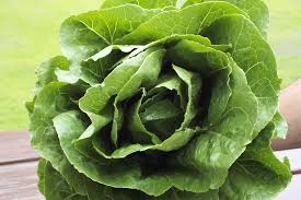 Image result for Lettuce Green 1972 Hussmann