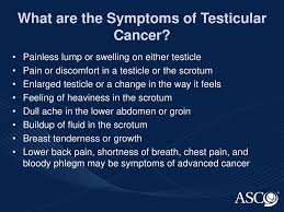 First signs of testicular cancer. Cancer Education Slides Ppt Download