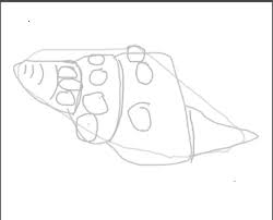 Drawing this shell was easy to do. How To Draw A Conch Shell 10 Steps With Pictures Wikihow