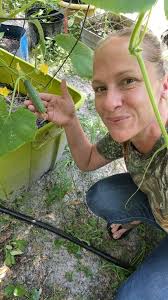 Growing cucumbers from seed at home