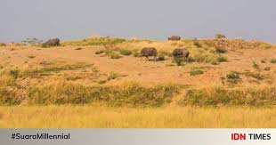 Bekasi sel., kota bks, jawa barat 17148, indonesia apartemen grand kamala lagoon, bekasi, endonezya, 17148. 10 Tempat Wisata Di Bekasi Yang Keren Dan Hits Bikin Kagum Easy Reader