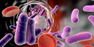 Read about symptoms, treatment and risk factors for sepsis. Understanding Sepsis Hca Virginia