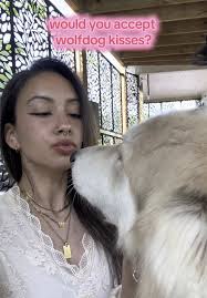 Paris Lady with Wolf Dog