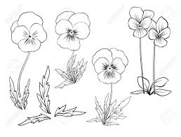 Epingle Par Zavlianova Macha Sur Flower Tattoo Avec Images Tatouage Violet Pensee Fleur Fleurs Sauvages Bleues