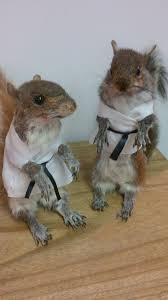 The Karate Kids Animals Karate Kid Animals Beautiful