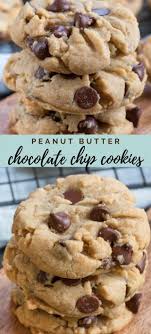 Peanut Butter Chocolate Chip Cookies Crazy For Crust Recipe In 2020 Cookies Recipes Chocolate Chip Peanut Butter Chocolate Chip Soft Peanut Butter Cookies