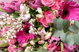 Beautiful flower bouquets for every occasion. Beautiful Bouquet Of Flowers Isolated Stock Image Colourbox
