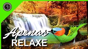 Bela música relaxante que pode ser usada como música relaxante para dormir, meditação, estudar, dormir ou algo semelhante. Musica Para Relaxar O Corpo Ea Mente E Dormir