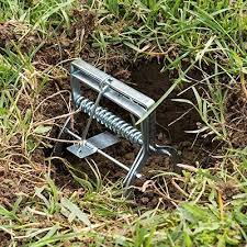 Après avoir repéré la galerie grâce à un petit baton, le piège s'installe rapidement. Meilleur Piege A Taupe 2021 Top 5 Pieges A Taupes Efficaces Jardin Sans Taupe