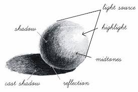 Menggambar Cahaya Dan Bayangan Highlight Dan Shadow Gambar Teknik Menggambar Cara Menggambar