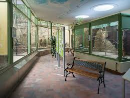 Bildergebnis für Kobby Adi