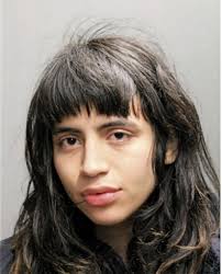 ᐅ Illinois Criminal Records 2009-2025