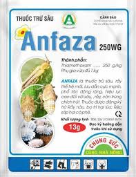 Anfaza 250WG