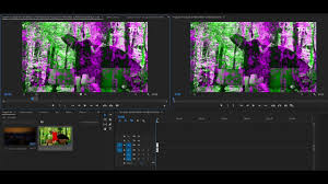 Monitoring assets playing assets using the waveform monitors and to find it, select the adobe premiere pro defaults set. Green And Pink Video Problem In Premiere Pro And Media Encoder Cc 2018 Windows Solved In 1 Min Youtube