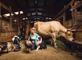 We show thousands of pets everyday from animal adoption centers across the country. The Poignant Stories Behind 3 Local Animal Sanctuaries New Jersey Monthly