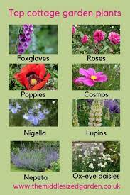 Specify the percentages you would like to have of each plant and input the dimensions of your garden. What Is Cottage Garden Style And How To Achieve It The Middle Sized Garden Gardening Blog