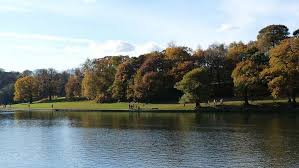 Image result for roundhay