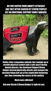 Pin By Justin Brewster On When You Need A Laugh Friday Funny Images Funny Images Friday Humor