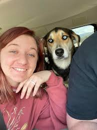 Lost friendly goose in Bellefounte area