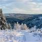 Gutsy Girls Holiday | Cross Country Ski and Yoga..... event in Venabygd