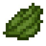 Everyone has seen cacti in the deserts of minecraft, and they are a lovely shade green. Green Dye Minecraft Wiki Fandom