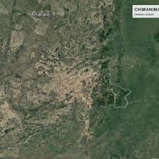 Image result for Dissotis pulchra