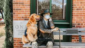 We're sf golden retrievers, located in san francisco california. Grapevine Has A Famous Instagram Influencer Who S A Very Good Boy