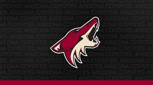 Find canvas prints & paintings at wayfair. Digital Wallpapers Arizona Coyotes Arizona Coyotes