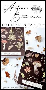 autumn botanical prints and diy wall chart top bloggers