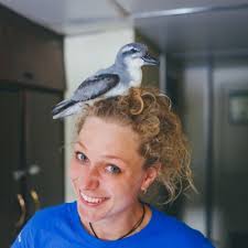Dr. Sarah Gutowsky (@halibirdnerd)