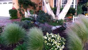 Nandina plants and landscape grasses are a good match. Karen S No Lawn Front Yard In Irvine Finegardening