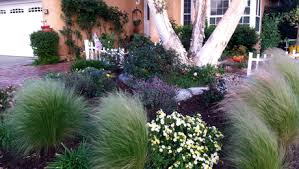 Increase the curb appeal of your front garden to provide a warm welcome for guests. Karen S No Lawn Front Yard In Irvine Finegardening