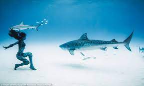 Pin On Ocean Ideas