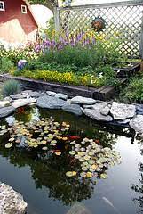 Check spelling or type a new query. How Much Does It Cost To Install A Backyard Garden Pond Networx