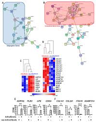 He remains particularly known for his smash hit macumba, released in 1985. Jcm Free Full Text A Potential Theragnostic Regulatory Axis For Arthrofibrosis Involving Adiponectin Adipoq Receptor 1 And 2 Adipor1 And Adipor2 Tgfb1 And Smooth Muscle A Actin Acta2 Html