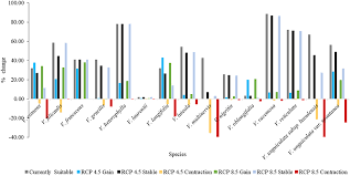 Image result for Vigna multinervis