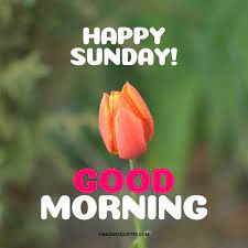 Check spelling or type a new query. 35 Amazing Good Morning Images For Sunday Happy Sunday Badass Quotes