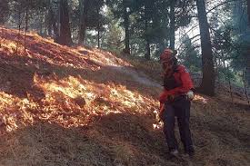 Bc wildfire service (bcws) is the wildfire suppression service of the canadian province of british columbia. Firebreaks Controlled Burns Help Surround B C S Bigger Wildfires Maple Ridge News