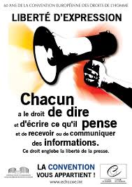 La Liberte D Expression Est Le Droit Pour Toute Personne De Penser Comme Elle Le Souhaite Et De Pouvoir Exprimer Ses Opinions Par Tous Memes Expressions Ecards