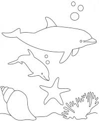 Dolphin coloring page for children 3 years old. Dolphin Cartoon Coloring Home