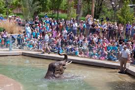 Home to over 12,000 animals, representing 500 species, the saint louis zoo is recognized worldwide for its innovative approaches to animal care and management, wildlife conservation, research and education. 10 Best Zoos In The United States According To Our Readers