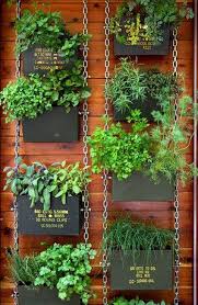 Design Diary Chantal And Ryan S Spectacular Backyard Stylecarrot Vertical Garden Diy Vertical Garden Vertical Herb Garden
