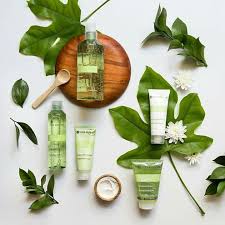 Linea Sebo Vegetal Yves Rocher Yves Rocher Limpieza Rutinas De Limpieza