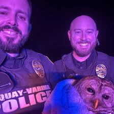 🦉✨ Above and Beyond for Our Feathery Friends! ✨🦉 The Fuquay-Varina Police  Department is always ready to serve and protect—whether it's people OR  wildlife! Last night, Master Officer Bissette and Officer Northgrave