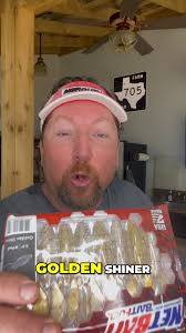 Are spinnerbait trailers over hyped? #question #spinnerbait #fishing  Nichols Lures