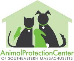 The following are the guidelines outlined in massachusetts statutes regarding adoption 25. Pets For Adoption At Animal Protection Center Of Southeastern Ma In Brockton Ma Petfinder
