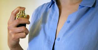 How to keep insects out of garden naturally. How To Keep Bugs Away The Natural Way Top 21 Methods Expert Home Tips