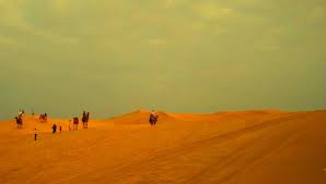 The sam sand dunes in rajasthan are easily the most stunning sites which should be visited around the stunning city of jaisalmer. Half Day Tour Sam Sand Dunes Jaisalmer Camel Safari Camping Cost