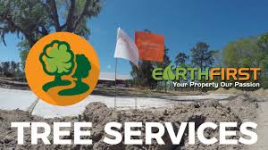Our tree surgeons boast a range of qualifications. Earth First Tree Services Youtube